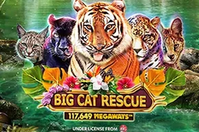 Big Cat Rescue Megaways