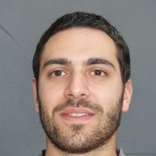 Ethan N.